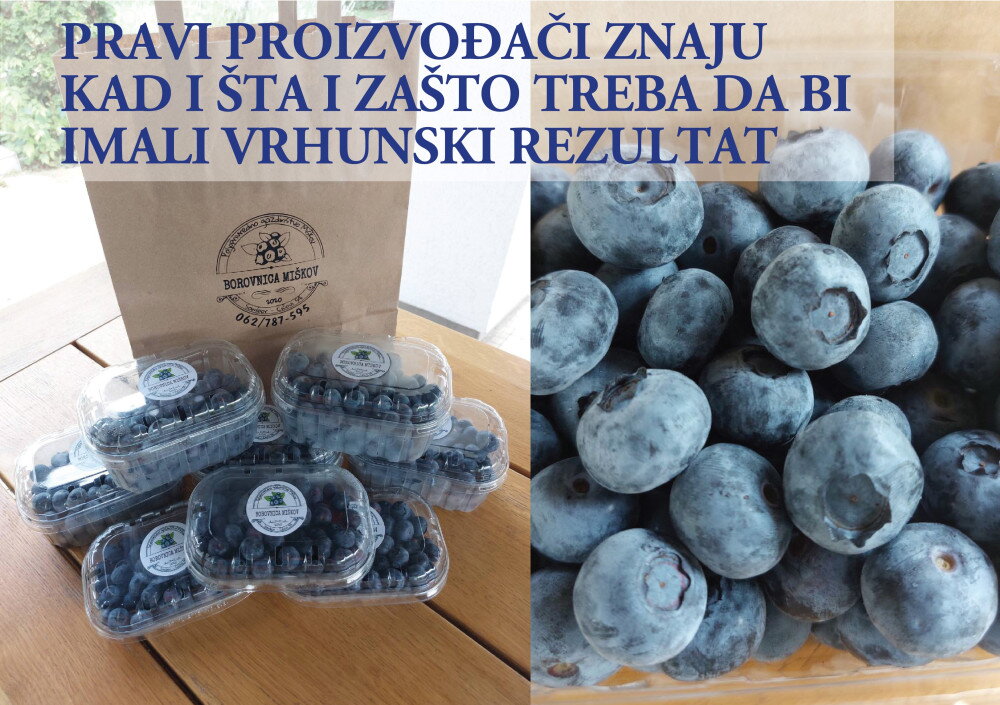10417 06 2023 1 copy 1