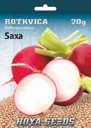 hobi seme povrca_rotkvica saxa