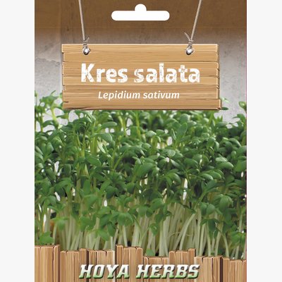hobi seme zacinskog i lekovitog bilja_kres salata