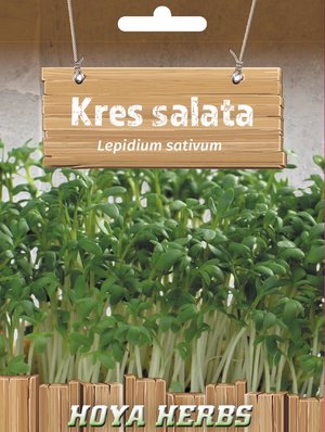 hobi seme zacinskog i lekovitog bilja_kres salata