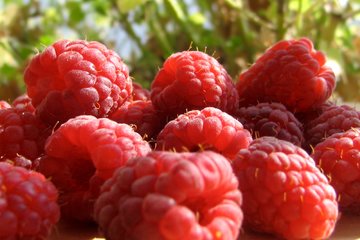 raspberries_2