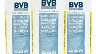bvb substrati