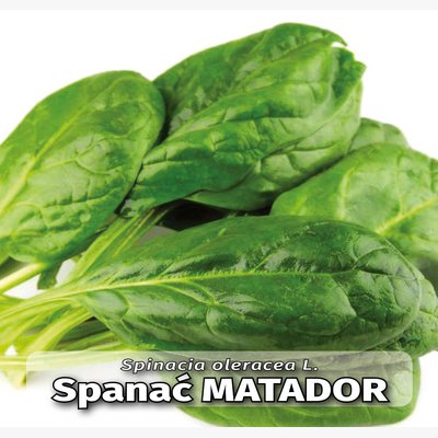seme povrca gramature profi_spanac matador