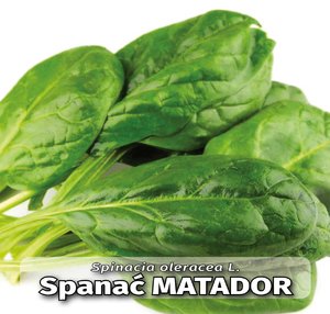 seme povrca gramature profi_spanac matador