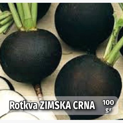 seme povrca gramature profi_rotkva crna zimska