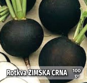 seme povrca gramature profi_rotkva crna zimska