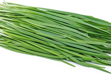 garlic chives 4978