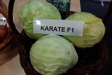 karate f1 n09466 f1 5171