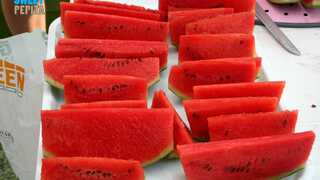 promocija mini lubenice sweet pepita palic
