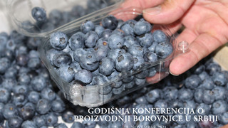 godisnja konferencija o proizvodnji borovnice u srbiji