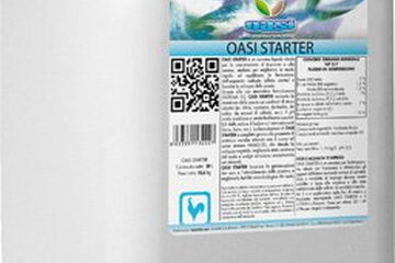 02 oasi starter