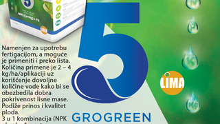 grogreen five fructus