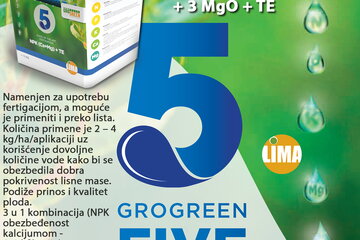 01 grogreen five fructus