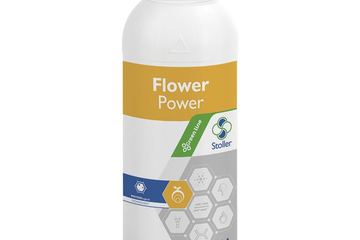 Flower_Power