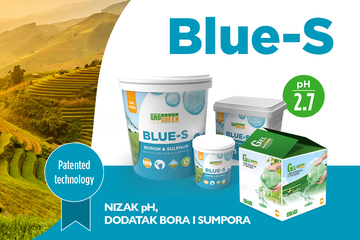 LIMA BLUE S CAMPAGNE2 12