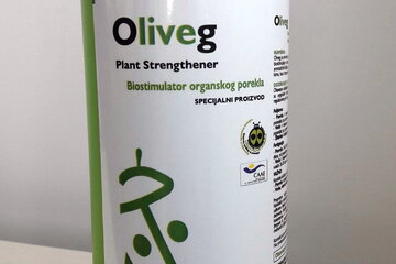 oliveg 1 lit