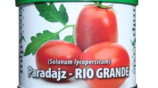 paradajz rio grande
