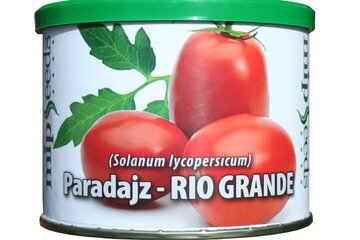 paradajz rio grande1