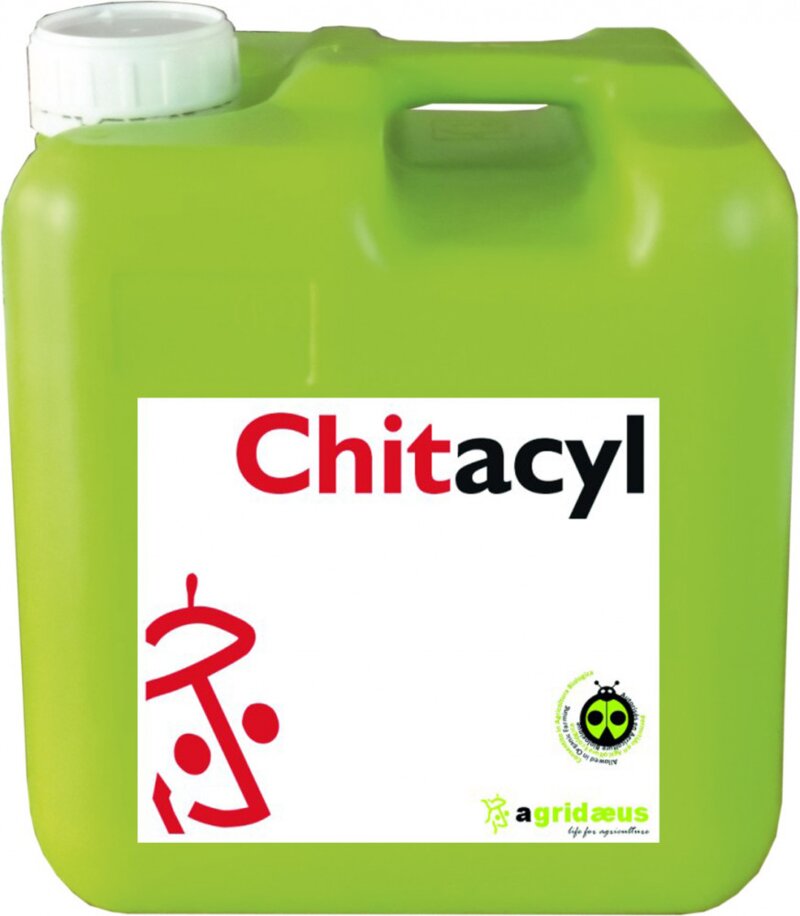 Chitacyl_1