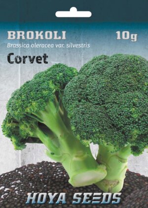 hobi seme povrca_brokoli corvet