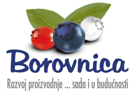borovnica_logo