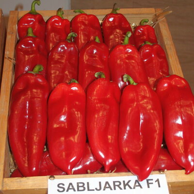 sabljarka f1
