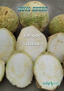 Katalog_Celera_1_smanjen
