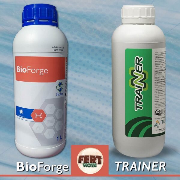 BioForge_i_Trainer