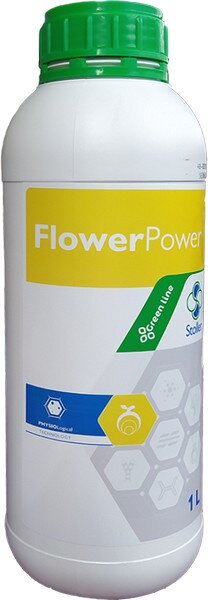 Flower_Power_1L600px