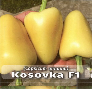 paprika_kosovka f1