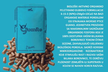 03 Borovnica 12 5 15 i Guanito 06 03 2024
