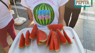 promotion of mini watermelon sweet pepita in soko banja