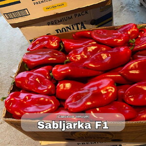 paprika_sabljarka f1