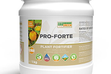 gel pro forte