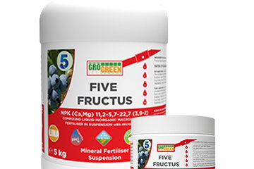 five fructus 13001