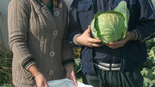 ranger f1 kod novice trajkovica u s navalin pored leskovca