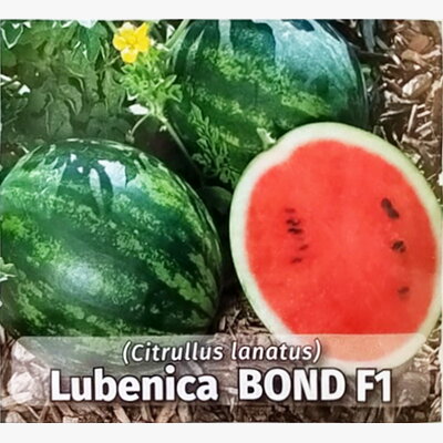 lubenica_bond f1