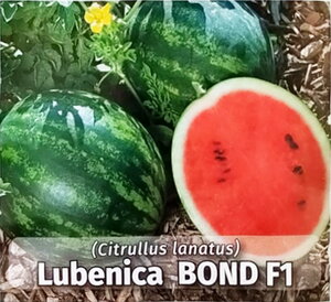 lubenica_bond f1