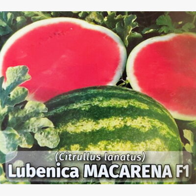 lubenica_macarena f1