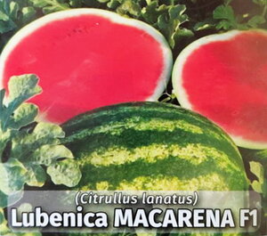 lubenica_macarena f1