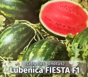 lubenica_fiesta f1