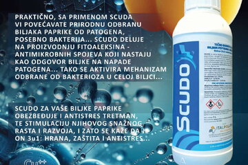 1548901 scudo 22