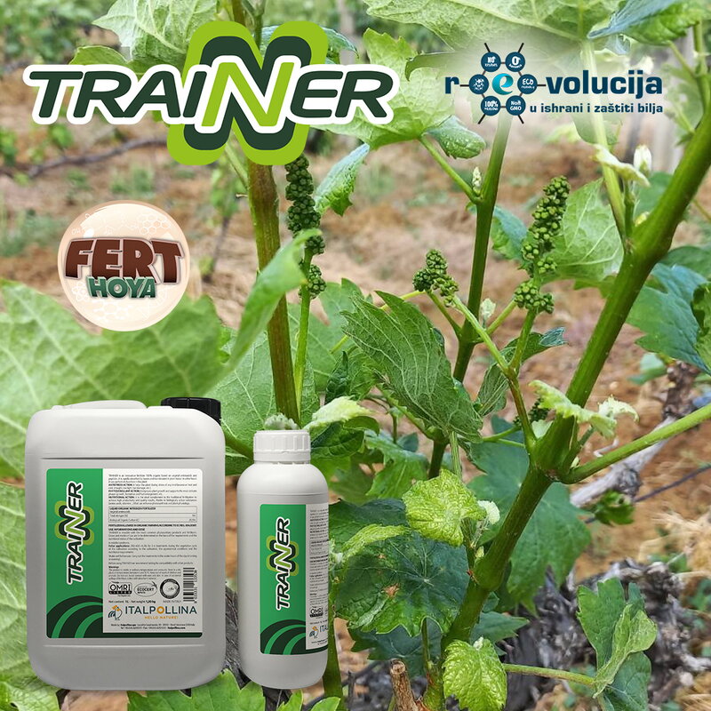 21_05_2025_Vinogradari_Trainer