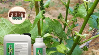 trainer resenje za trenutno stanje u vinogradu