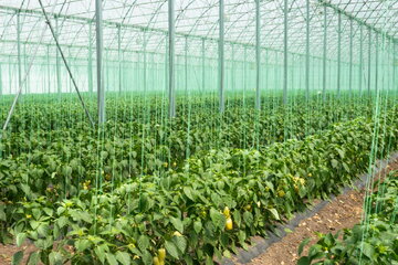 dscf0558