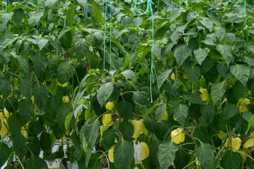 dscf0579