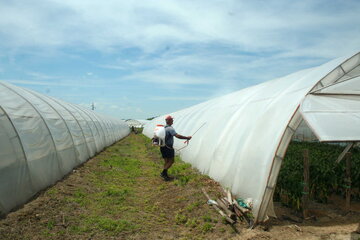 11487img_5544