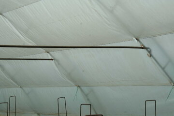 13550img_5551
