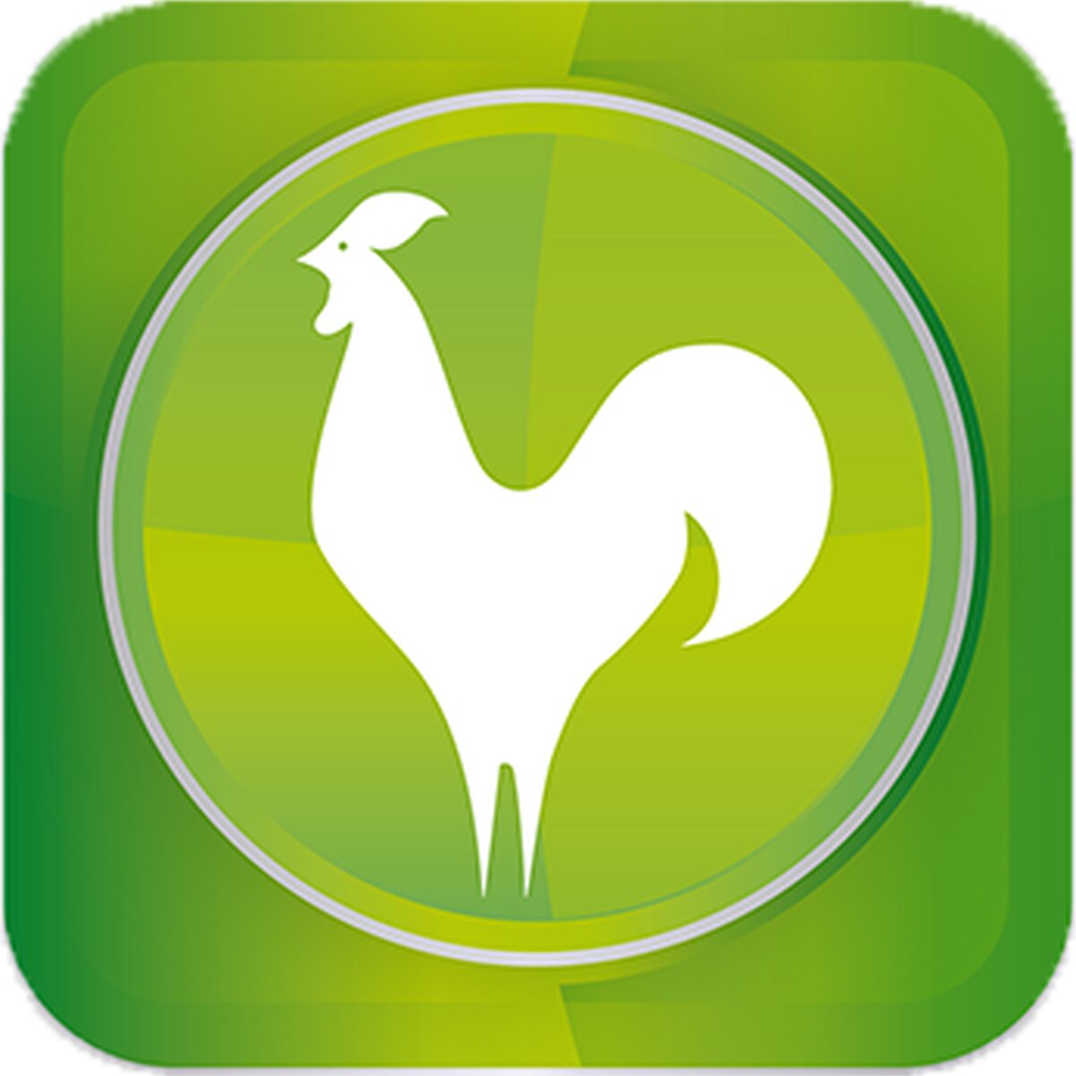 italpollina-logo.png