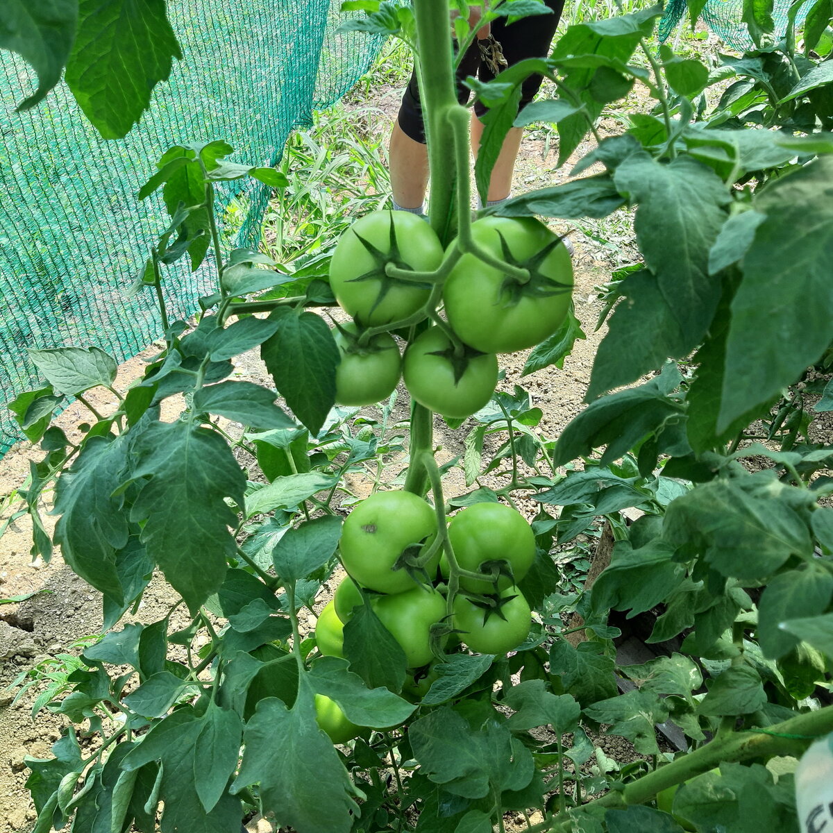 20190802_110853.jpg